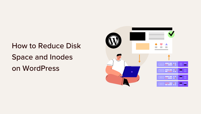 How to reduce disk space and inodes on WordPress